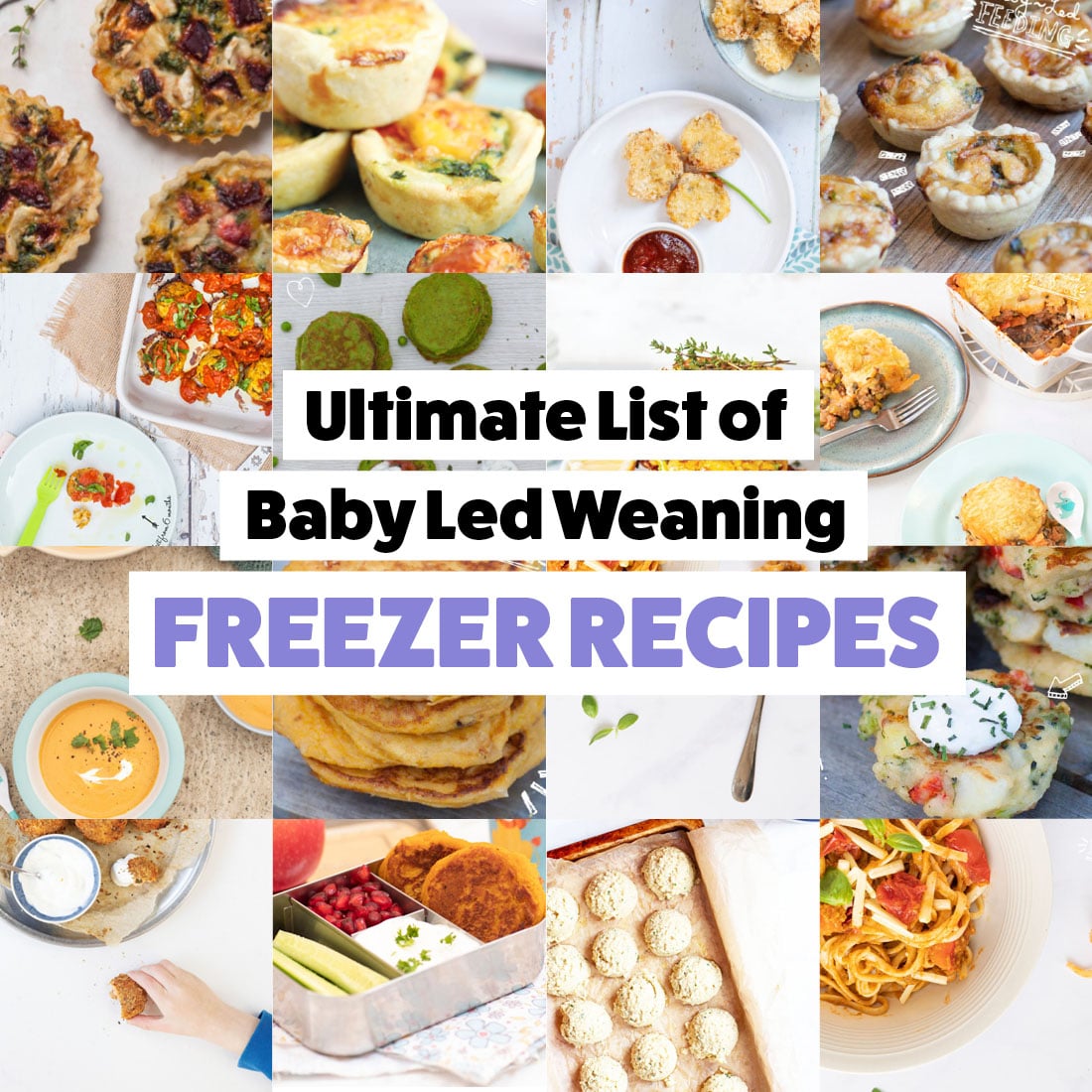 Your Complete Guide to Baby-Led Weaning + Recipe Ideas! – My