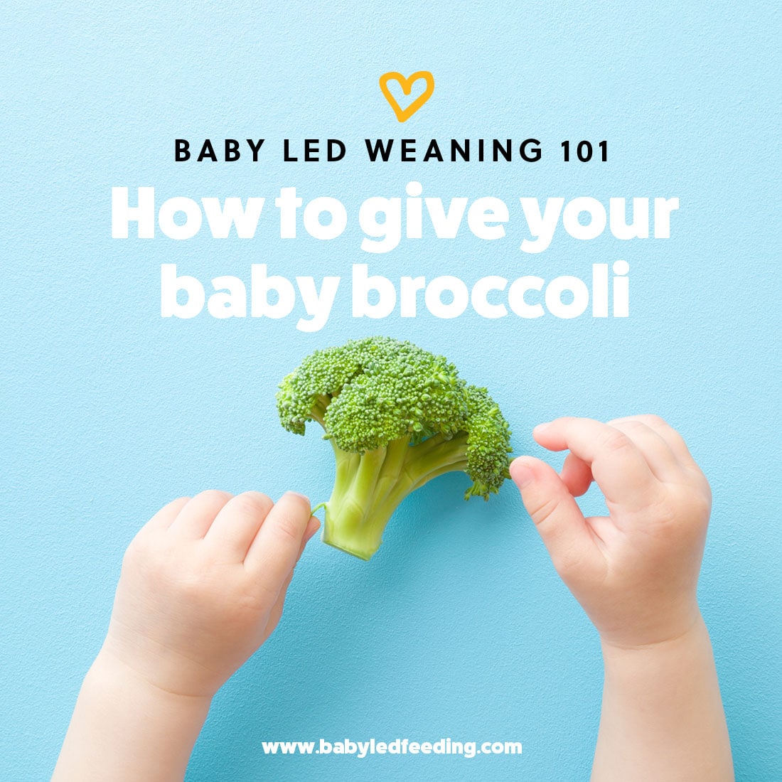 First Foods that will Nourish your Growing Baby - Up and Alive